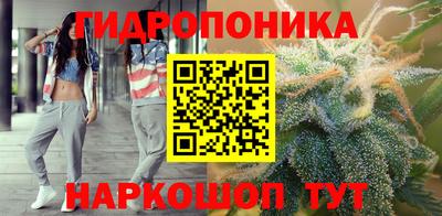 МДПВ Краснознаменск