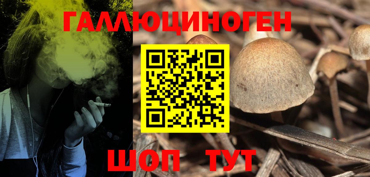 Псилоцибиновые грибы Cubensis  Вход с VPN  цены наркотик  Карталы 